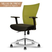 Silla de escritorio DI TREVI MESH Verde